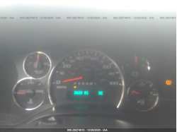 CHEVROLET EXPRESS PASSENGER 1GAZGPFG7L1200834