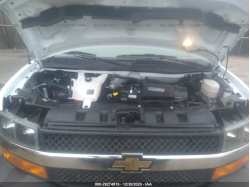 CHEVROLET EXPRESS PASSENGER 1GAZGPFG7L1200834