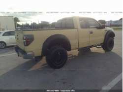 FORD F-150 1FTEX1CM7BFB39919