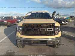 FORD F-150 1FTEX1CM7BFB39919