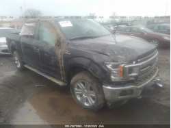 FORD F-150 1FTEW1EGXJKF88902