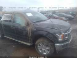 FORD F-150 1FTEW1EGXJKF88902