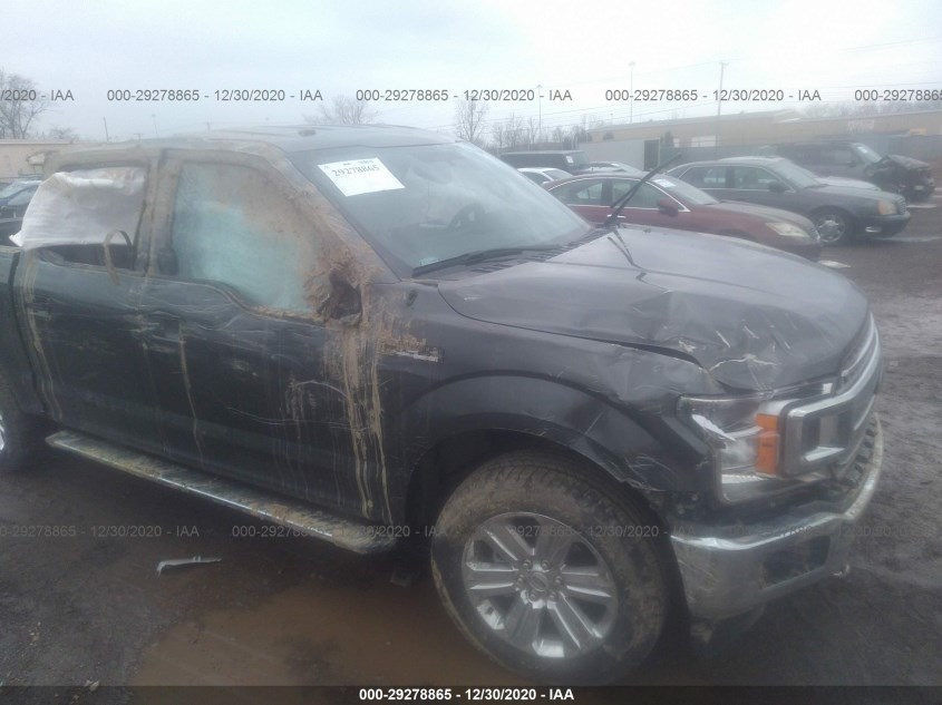 FORD F-150 1FTEW1EGXJKF88902