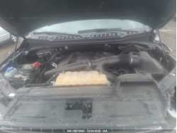 FORD F-150 1FTEW1EGXJKF88902
