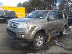 HONDA PILOT 5FNYF4H76BB089085