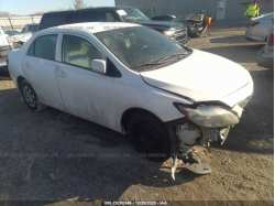 TOYOTA COROLLA 2T1BU4EE9AC331434