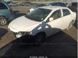 TOYOTA COROLLA 2T1BU4EE9AC331434