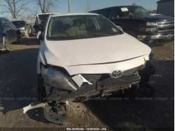TOYOTA COROLLA 2T1BU4EE9AC331434