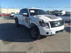 FORD F-150 1FTFW1EF2DFA29529