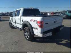 FORD F-150 1FTFW1EF2DFA29529