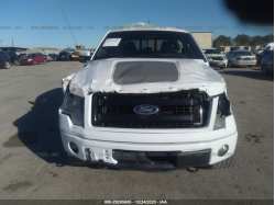 FORD F-150 1FTFW1EF2DFA29529