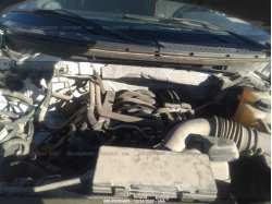 FORD F-150 1FTFW1EF2DFA29529