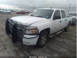 CHEVROLET SILVERADO 1500 3GCPCSE01BG259184