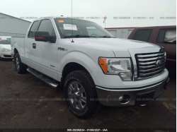 FORD F-150 1FTFX1ET2BFB00602