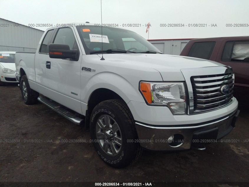 FORD F-150 1FTFX1ET2BFB00602