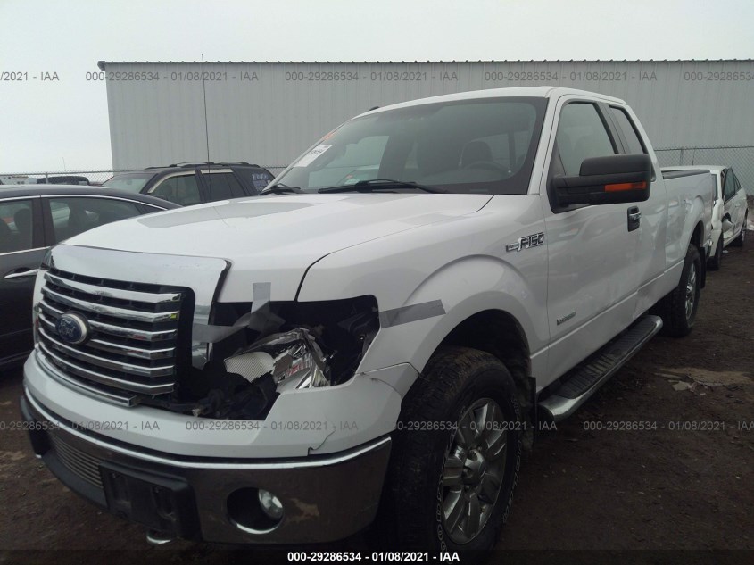 FORD F-150 1FTFX1ET2BFB00602