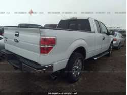FORD F-150 1FTFX1ET2BFB00602