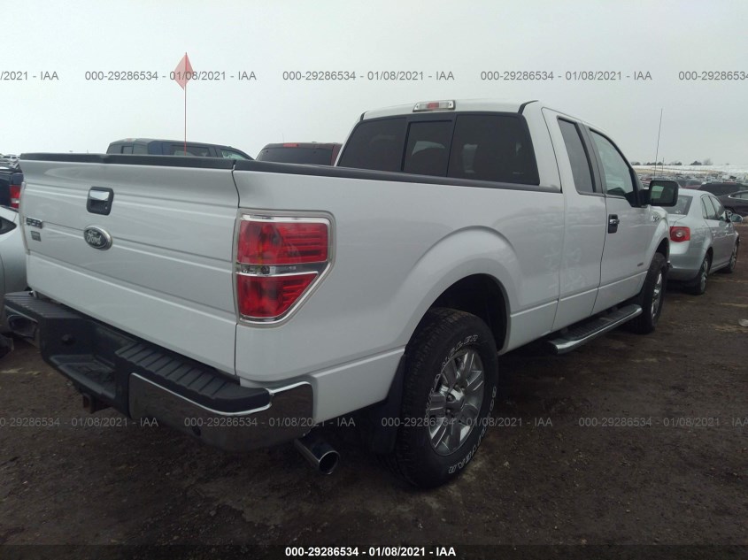 FORD F-150 1FTFX1ET2BFB00602