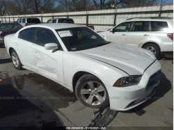 DODGE CHARGER 2C3CDXHGXDH696772