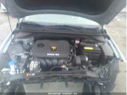 HYUNDAI ELANTRA 5NPD84LF6HH069355