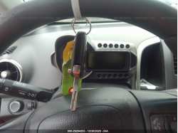 CHEVROLET SONIC 1G1JC6SH7C4109806