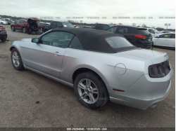 FORD MUSTANG 1ZVBP8EM2E5234114