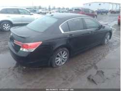 HONDA ACCORD SDN 1HGCP2F8XBA100414