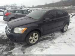 DODGE CALIBER 1B3CB3HA9BD225553