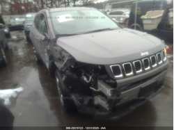 JEEP COMPASS 3C4NJDCB7KT791186