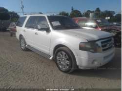 FORD EXPEDITION 1FMJU1K53BEF03451