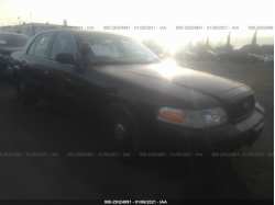 FORD POLICE INTERCEPTOR 2FABP7BV2BX129924