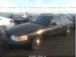FORD POLICE INTERCEPTOR 2FABP7BV2BX129924