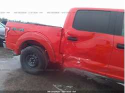 FORD F-150 1FTEW1E85HKD11500