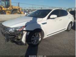 KIA OPTIMA HYBRID KNAGM4AD4G5095796