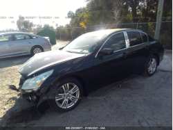 INFINITI G25 SEDAN JN1DV6AP4BM604070