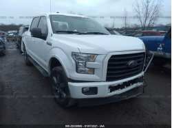 FORD F-150 1FTEW1EP0HFA02176