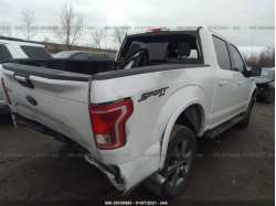 FORD F-150 1FTEW1EP0HFA02176