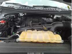 FORD F-150 1FTEW1EP0HFA02176