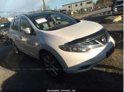 NISSAN MURANO JN8AZ1MW7DW310846