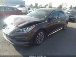 HYUNDAI SONATA 5NPE34AF6GH410340