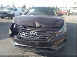 HYUNDAI SONATA 5NPE34AF6GH410340