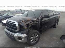 TOYOTA TUNDRA 2WD TRUCK 5TFEY5F16AX090632
