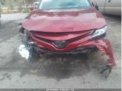 TOYOTA CAMRY 4T1C11AK4LU891421