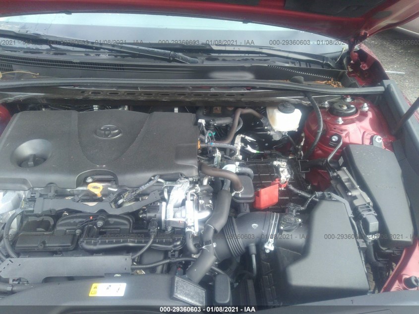 TOYOTA CAMRY 4T1C11AK4LU891421