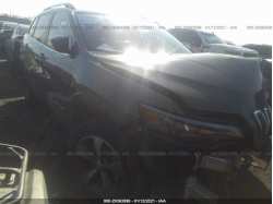 JEEP CHEROKEE 1C4PJMDX9LD597057