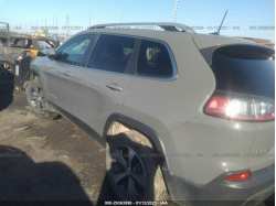 JEEP CHEROKEE 1C4PJMDX9LD597057