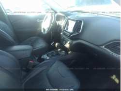 JEEP CHEROKEE 1C4PJMDX9LD597057