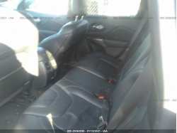 JEEP CHEROKEE 1C4PJMDX9LD597057
