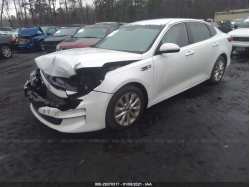 KIA OPTIMA 5XXGU4L32GG082726