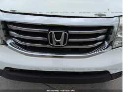 HONDA PILOT 5FNYF3H53DB041037